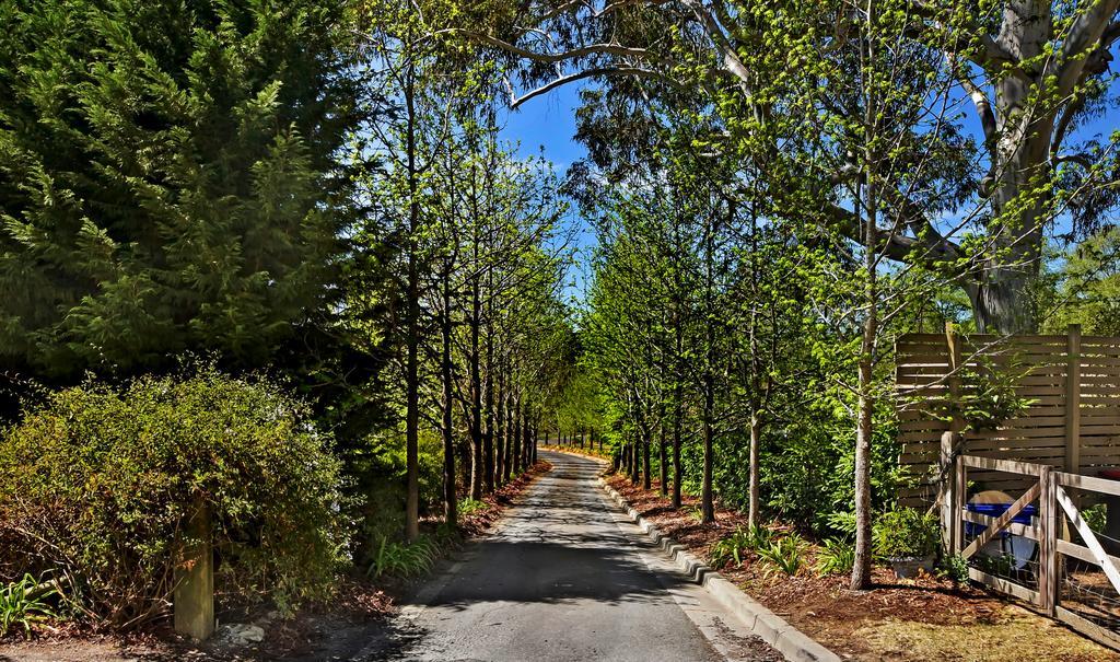 Bundanoon Lodge מראה חיצוני תמונה