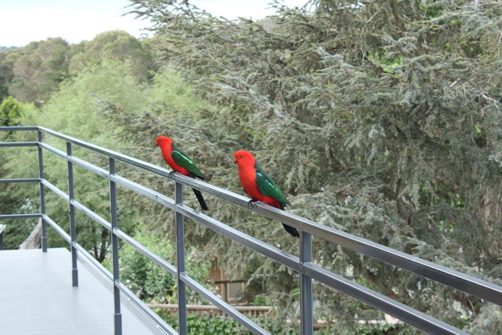 Bundanoon Lodge מראה חיצוני תמונה